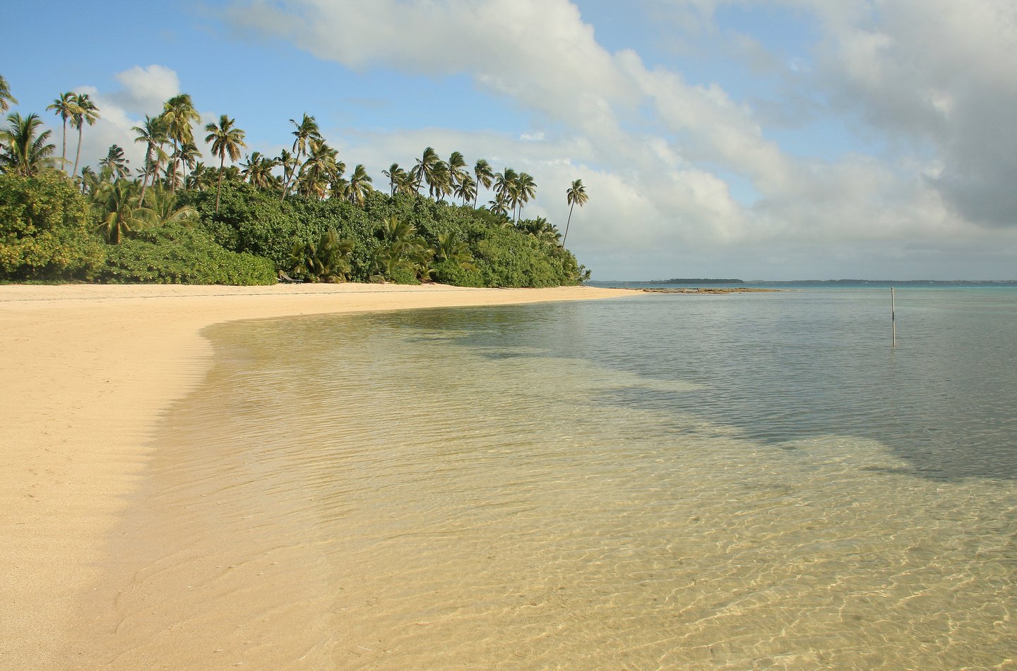 Empty beach on Tonga with long stretch of white sand and palm trees in the distance