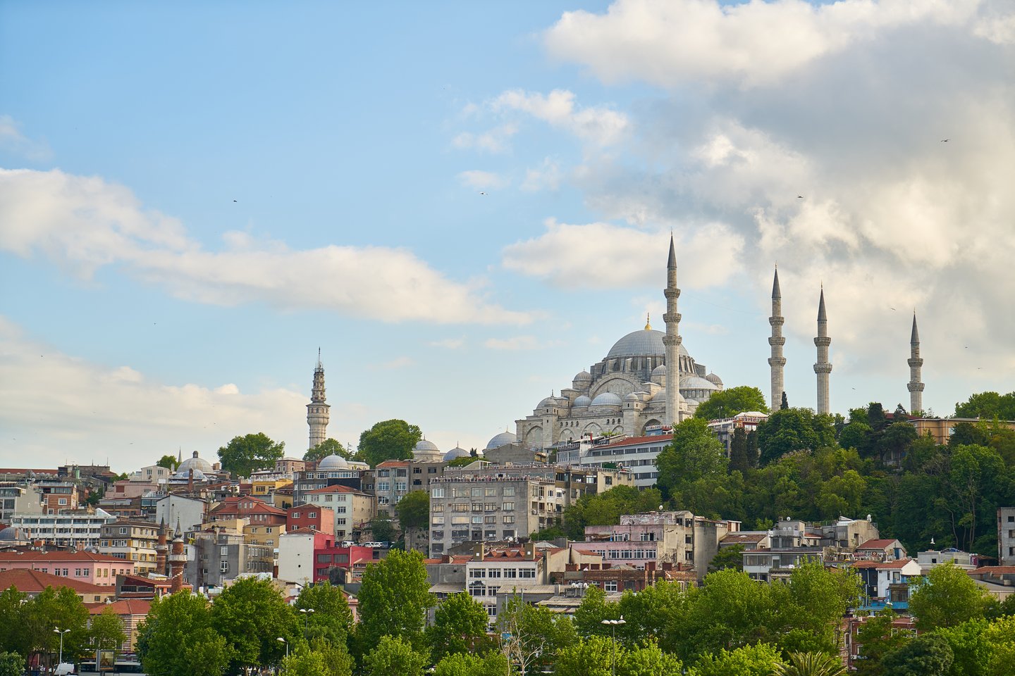 The Blue Mosque and tree line in Sultanahmet