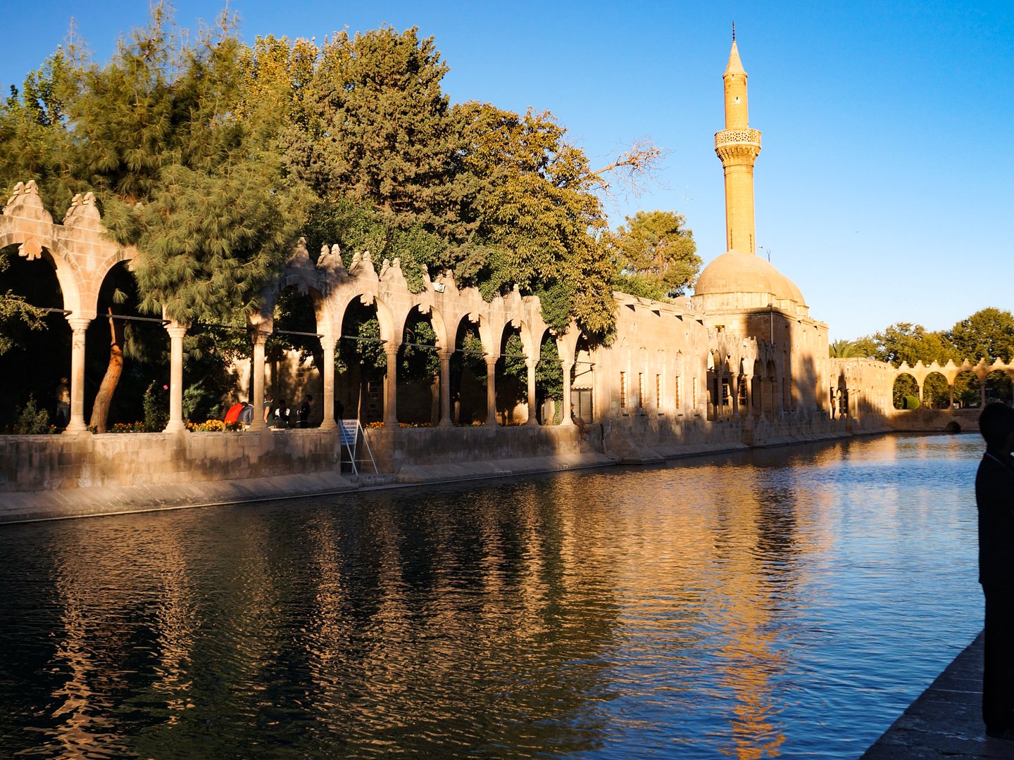 The Pool of the Holy Fish with the mosque in the background