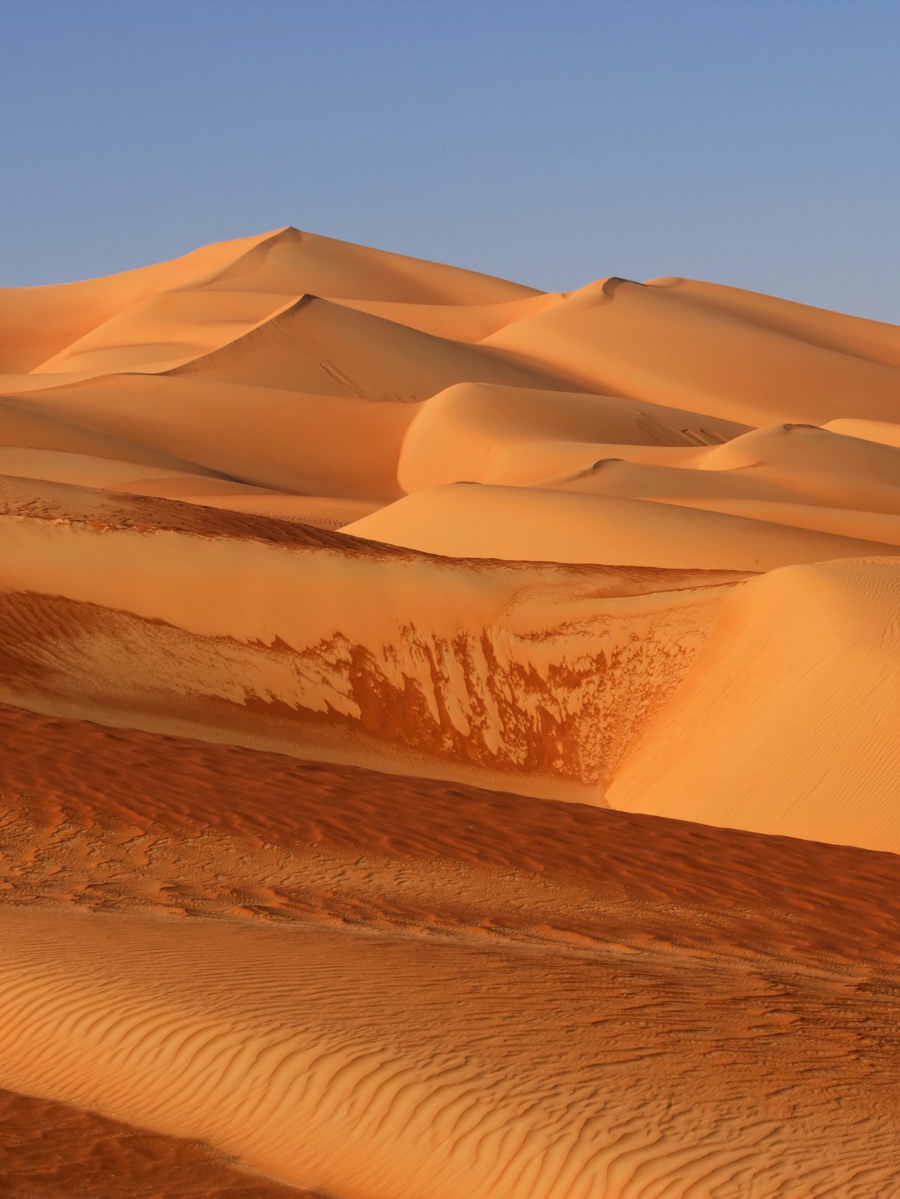 Sand dunes in the Empty Quarter in Abu Dhabi