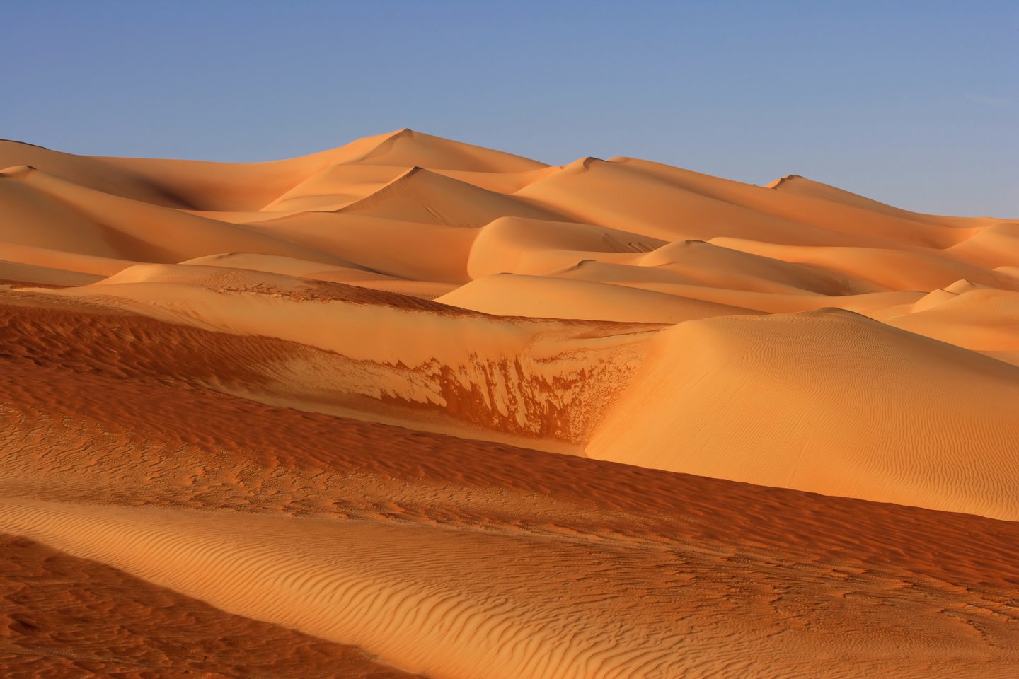 Sand dunes in the Empty Quarter in Abu Dhabi
