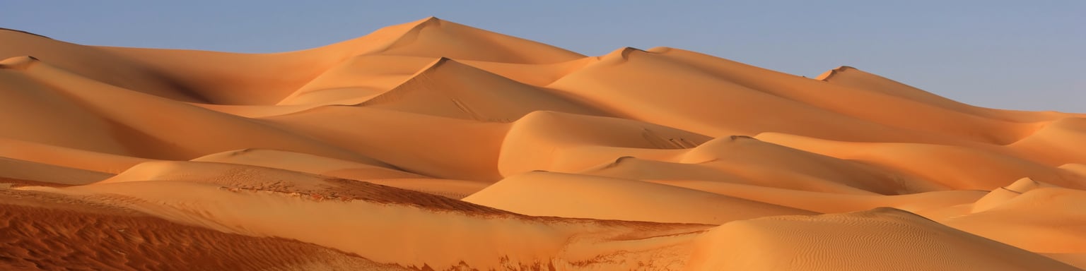 Sand dunes in the Empty Quarter in Abu Dhabi