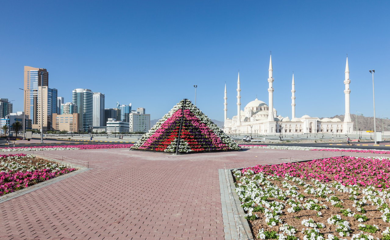 Fujairah Grand Mosque and cityscape with colourful flowers in the foreground