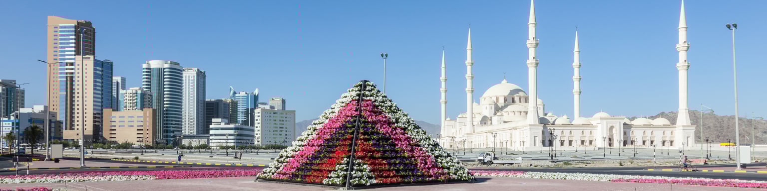 Fujairah Grand Mosque and cityscape with colourful flowers in the foreground