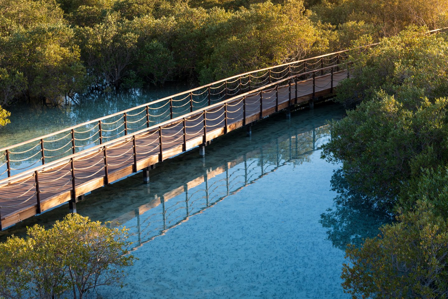 The boardwalk over the water at Jubail Mangrove Park