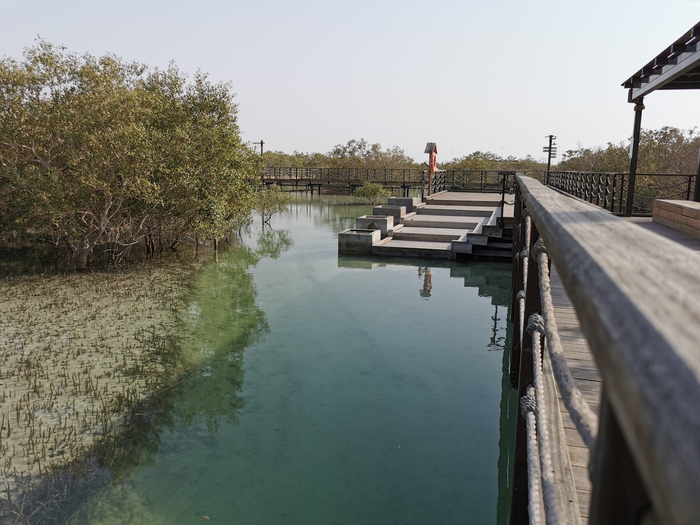 An educational platform at Jubail Mangrove Park