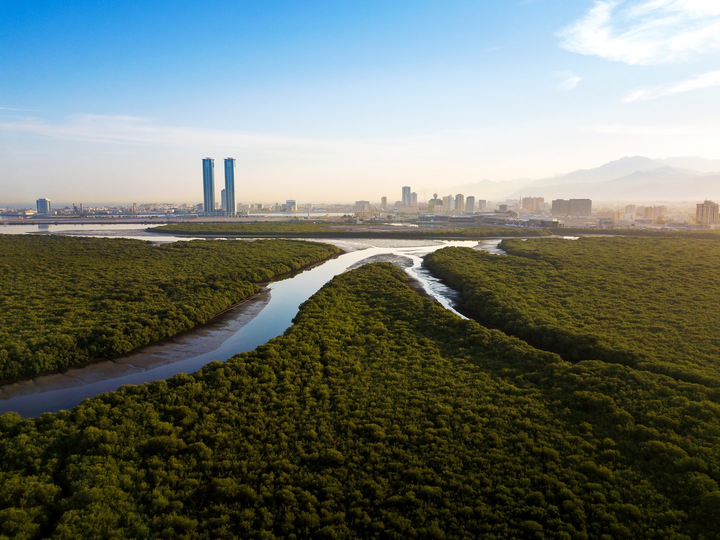 Panoramic view of Ras al Khaimah over mangrove forest in the UAE