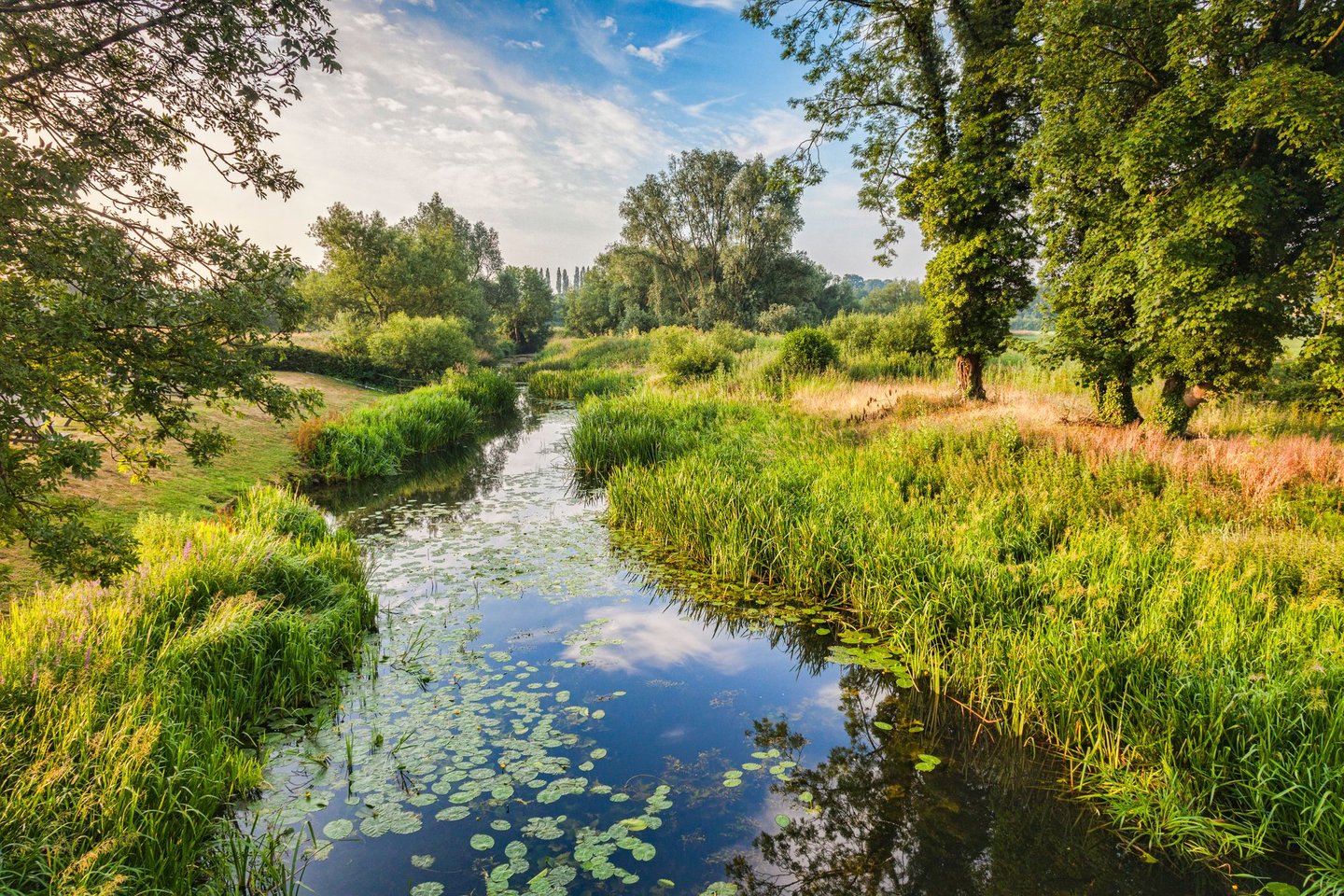 The river in Constable Country, UK