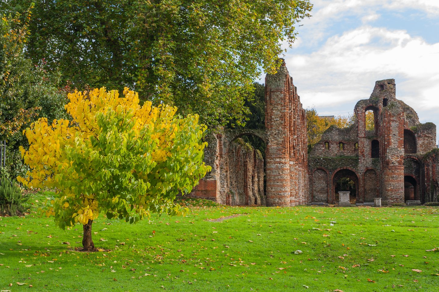 Looking at Colchester Castle through the trees