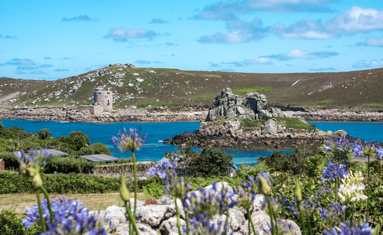 Flowers and blue sky on the Isles of Scilly, UK
