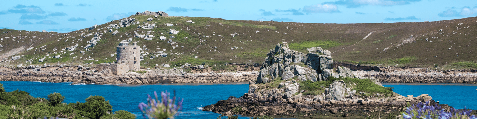 Flowers and blue sky on the Isles of Scilly, UK