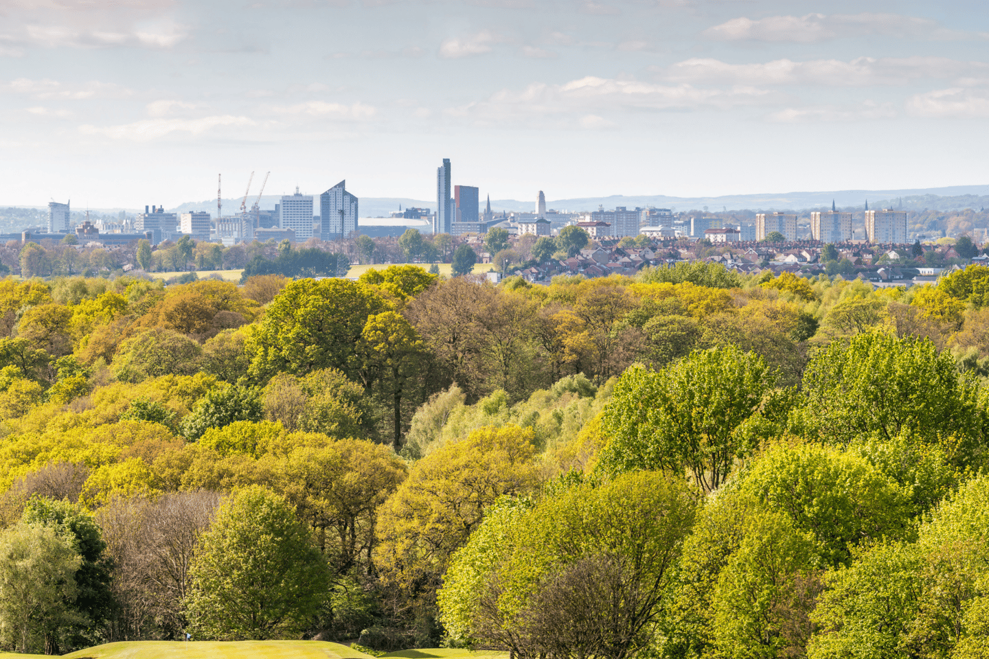 Leeds skyline over trees