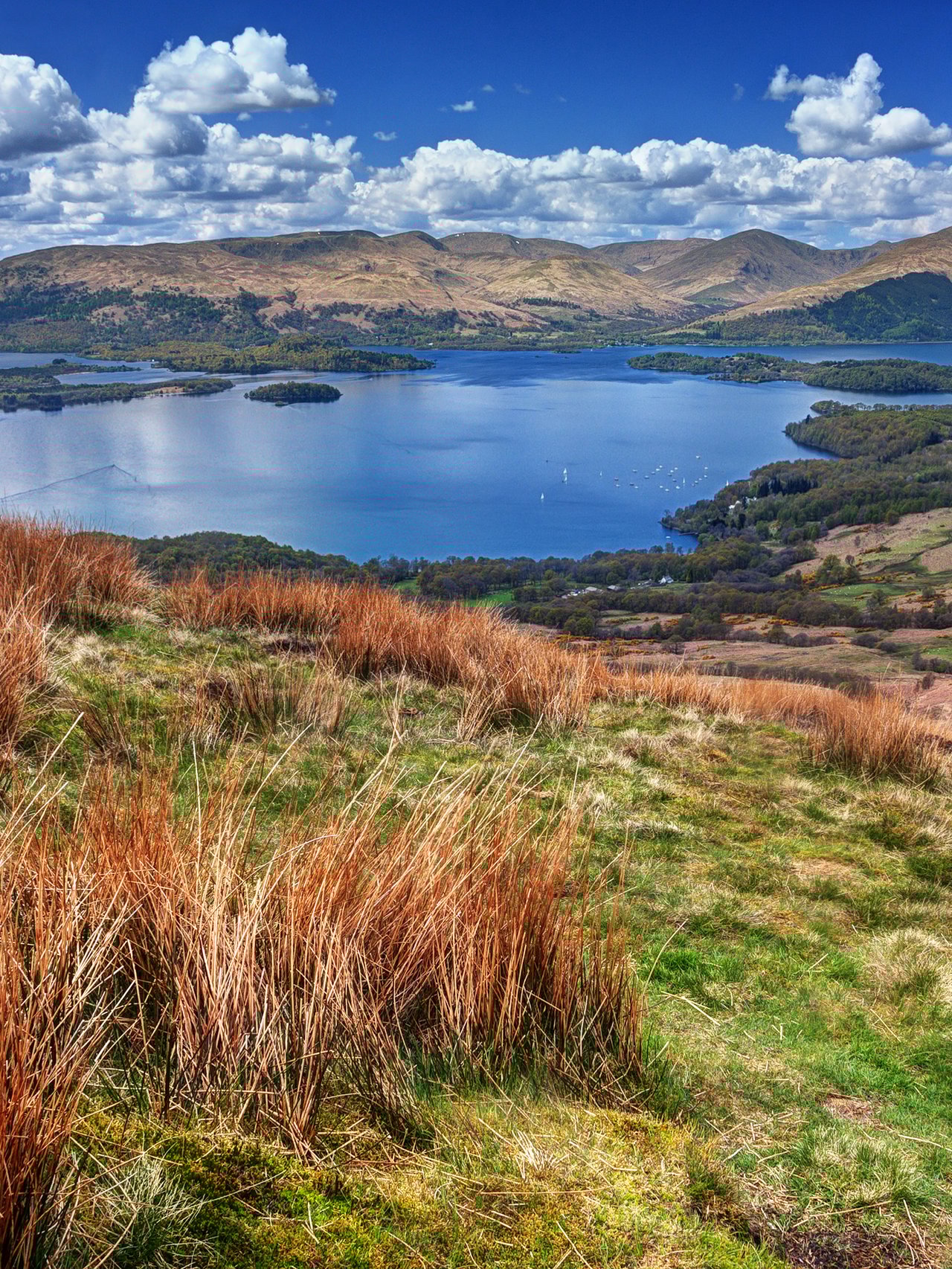 Loch Lomand and the countryside of Scottish Highlands