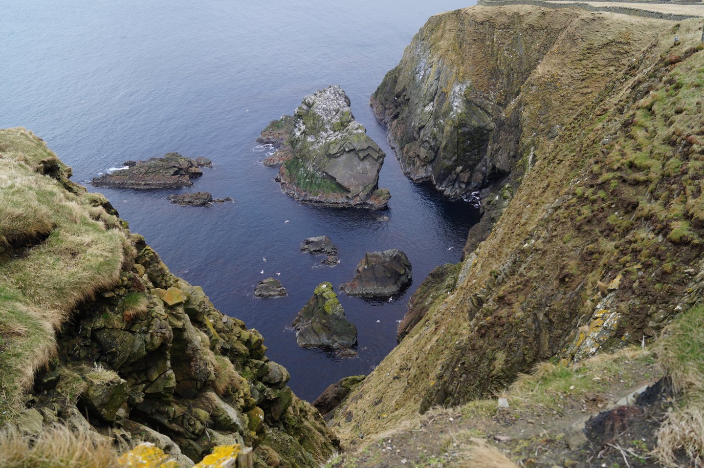 Sumburgh Head at the Shetlands Island in Scotland