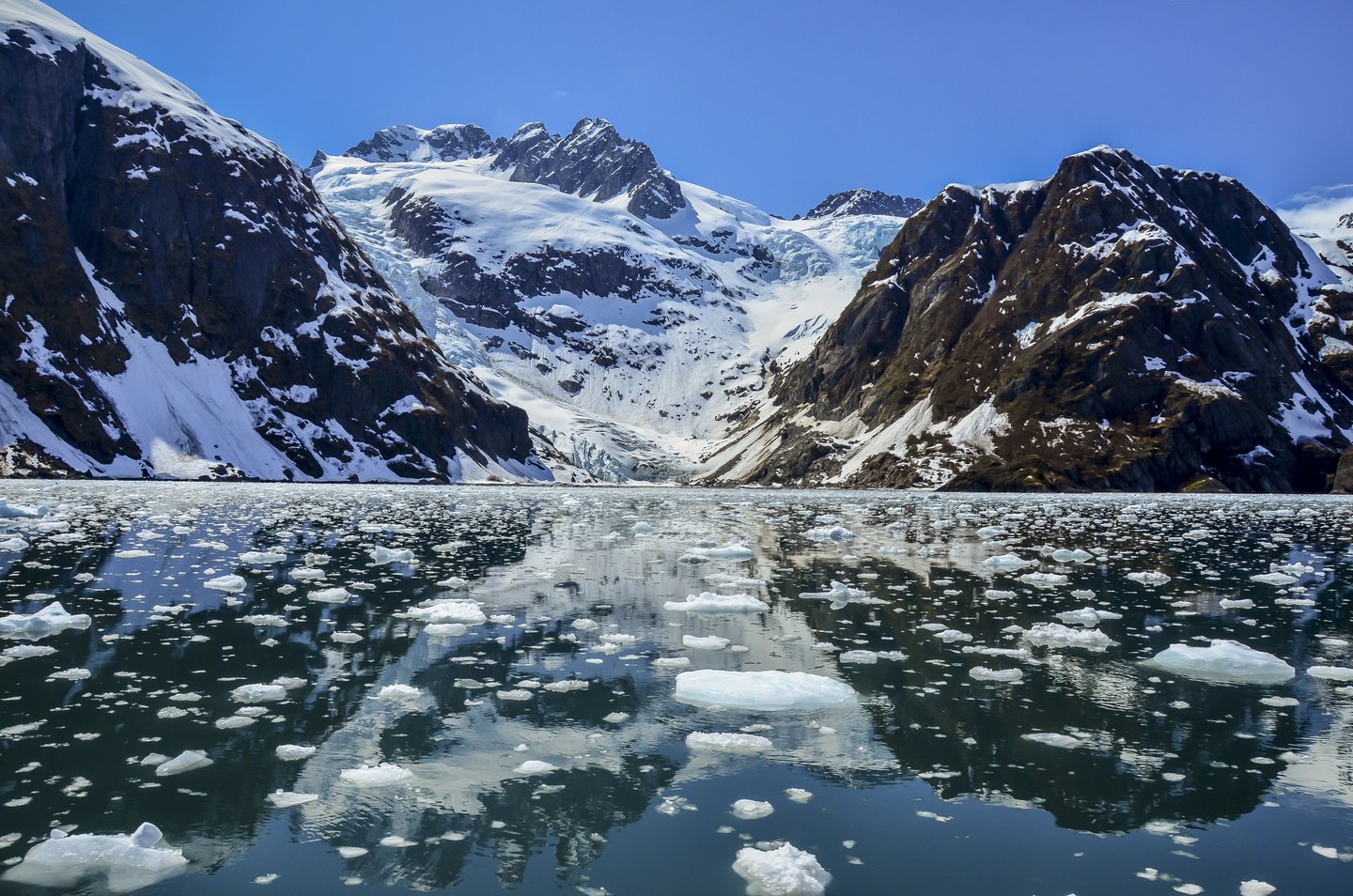 A tidewater glacier in Kenai Fjords National Park near Seward, Alaska.