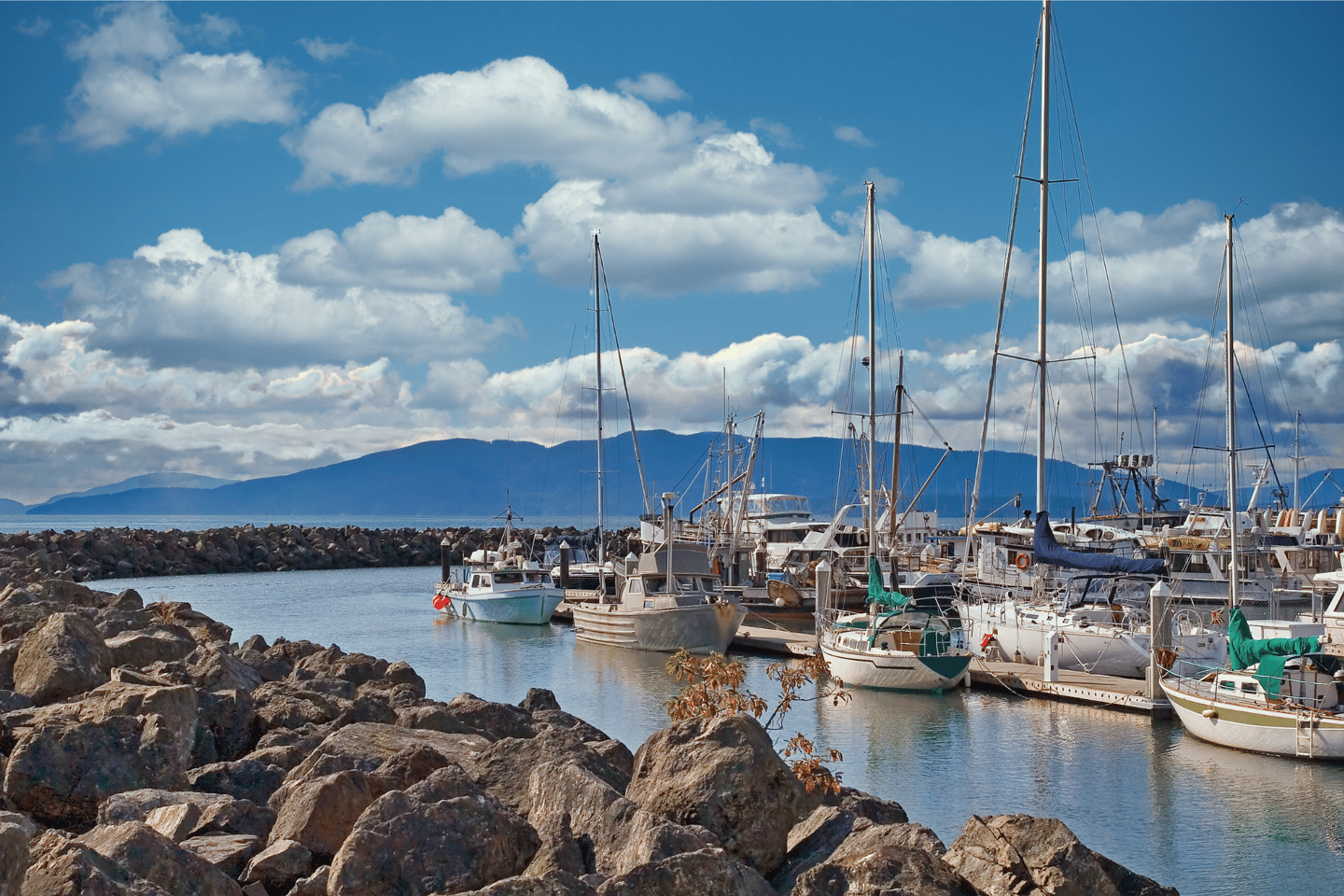 White yachts in a rocky cove in Bellingham, Washington