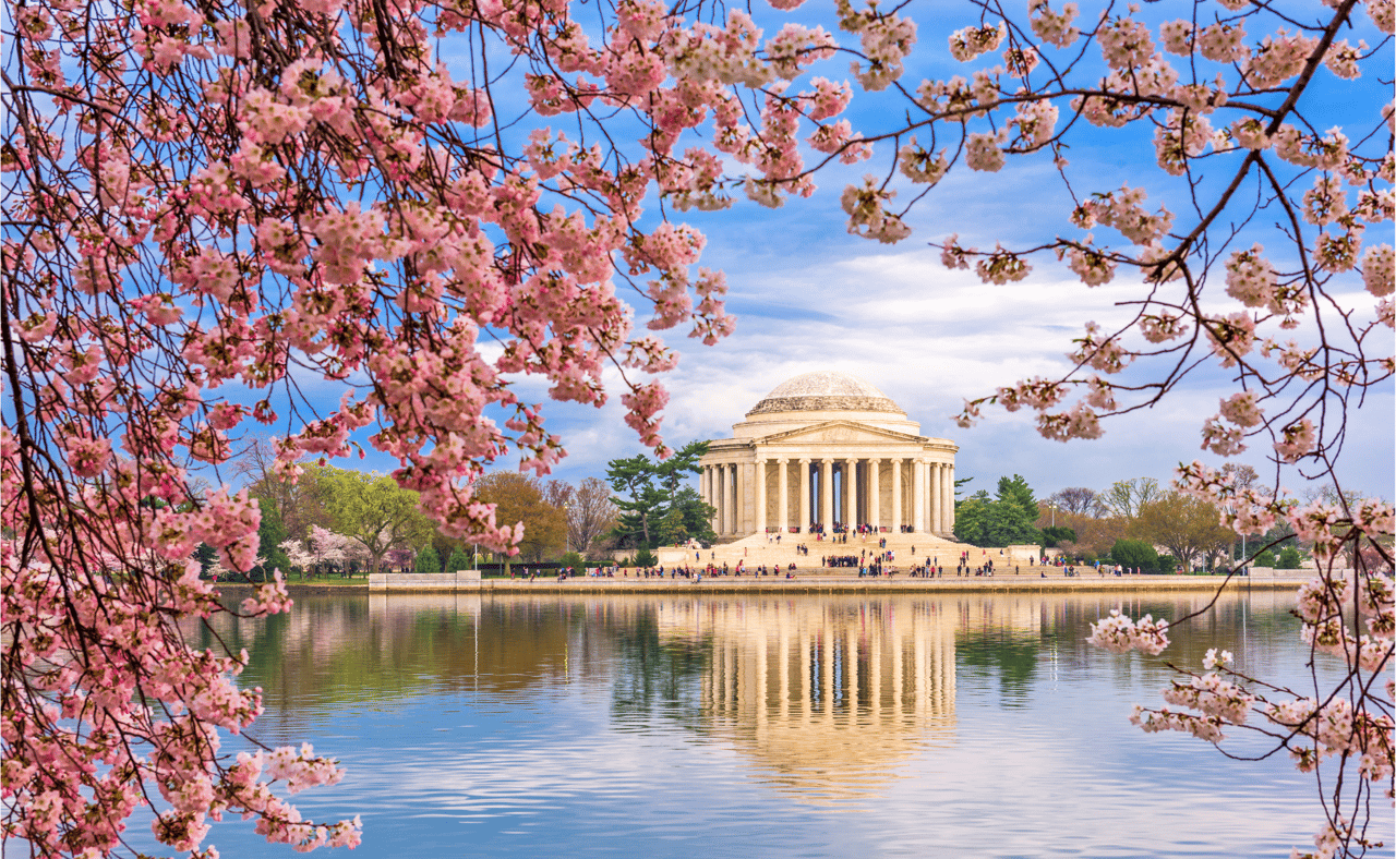 Washington, DC at the Tidal Basin and Jefferson Memorial during spring.