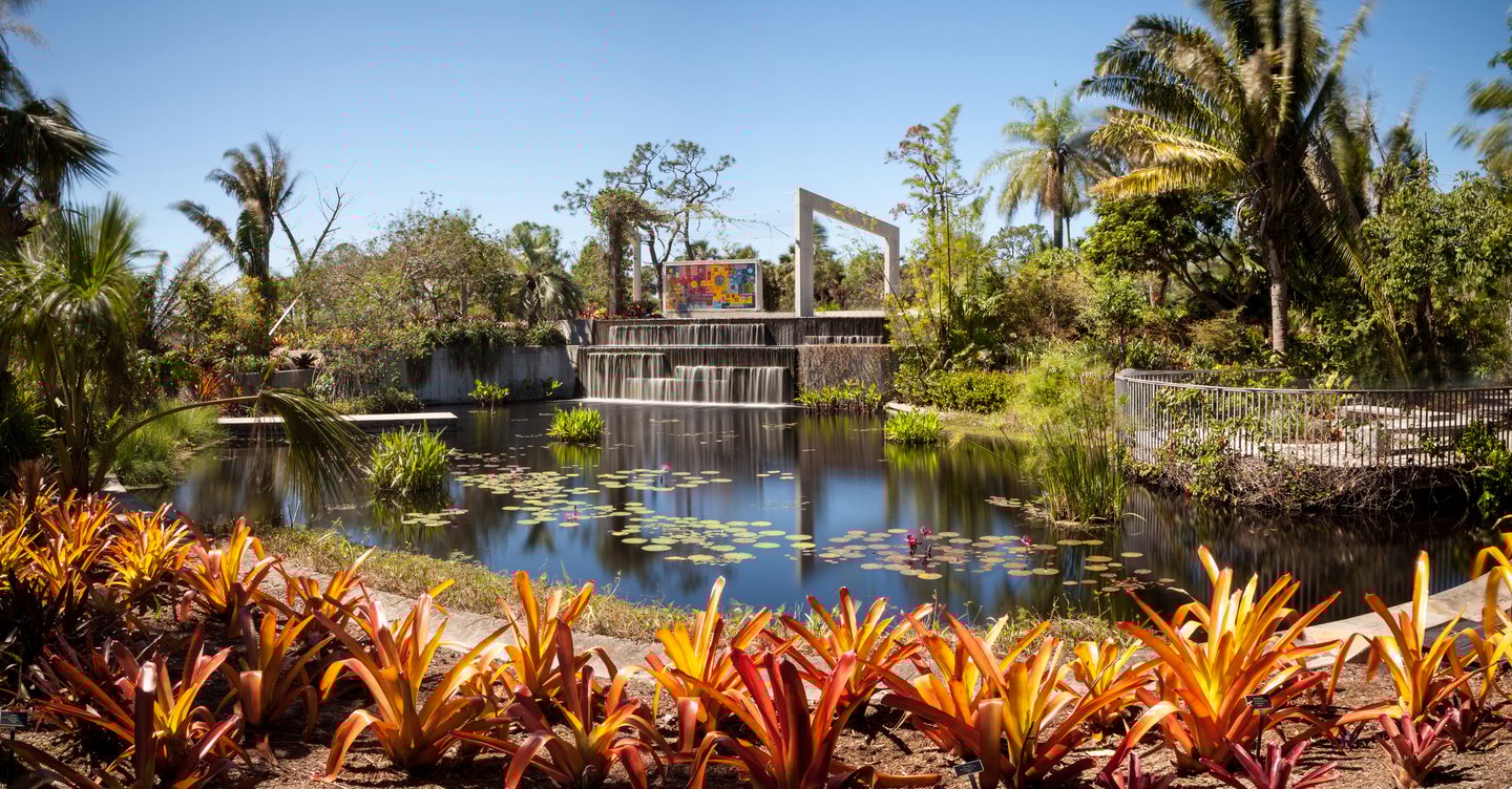 Reflective pond with water lilies and plants at the Naples Botanical Gardens in Naples, Florida.