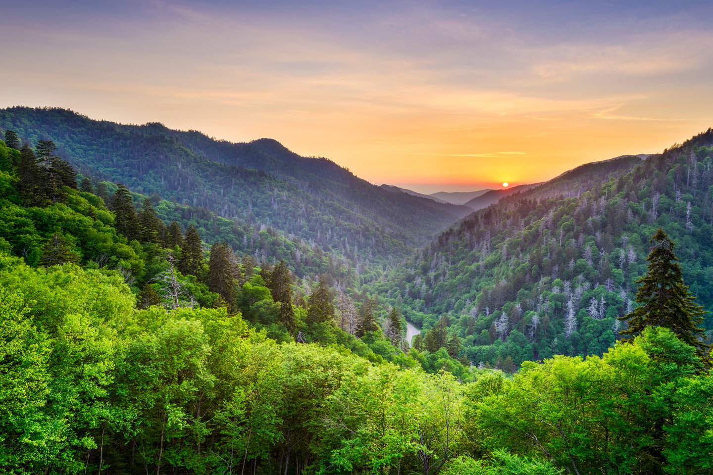 The view of the mountains from Newfound Gap in the Great Smoky Mountains National Park