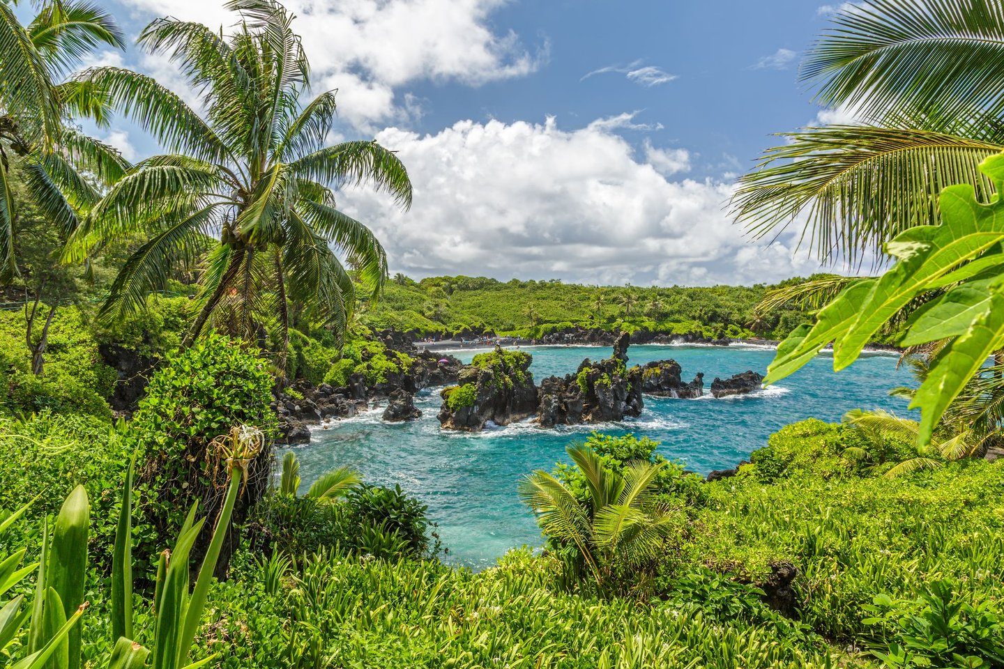 Forest, rocks and sea in Wai’anapanapa State Park, Maui