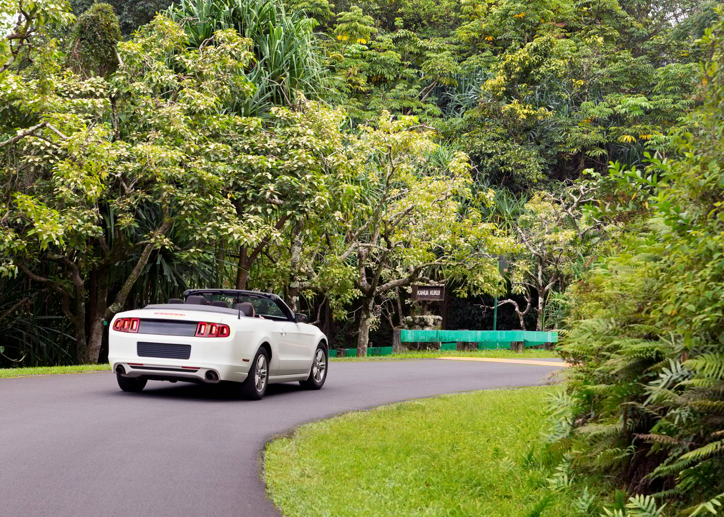 A convertible driving down a tree-lined street in Oahu, Hawaii