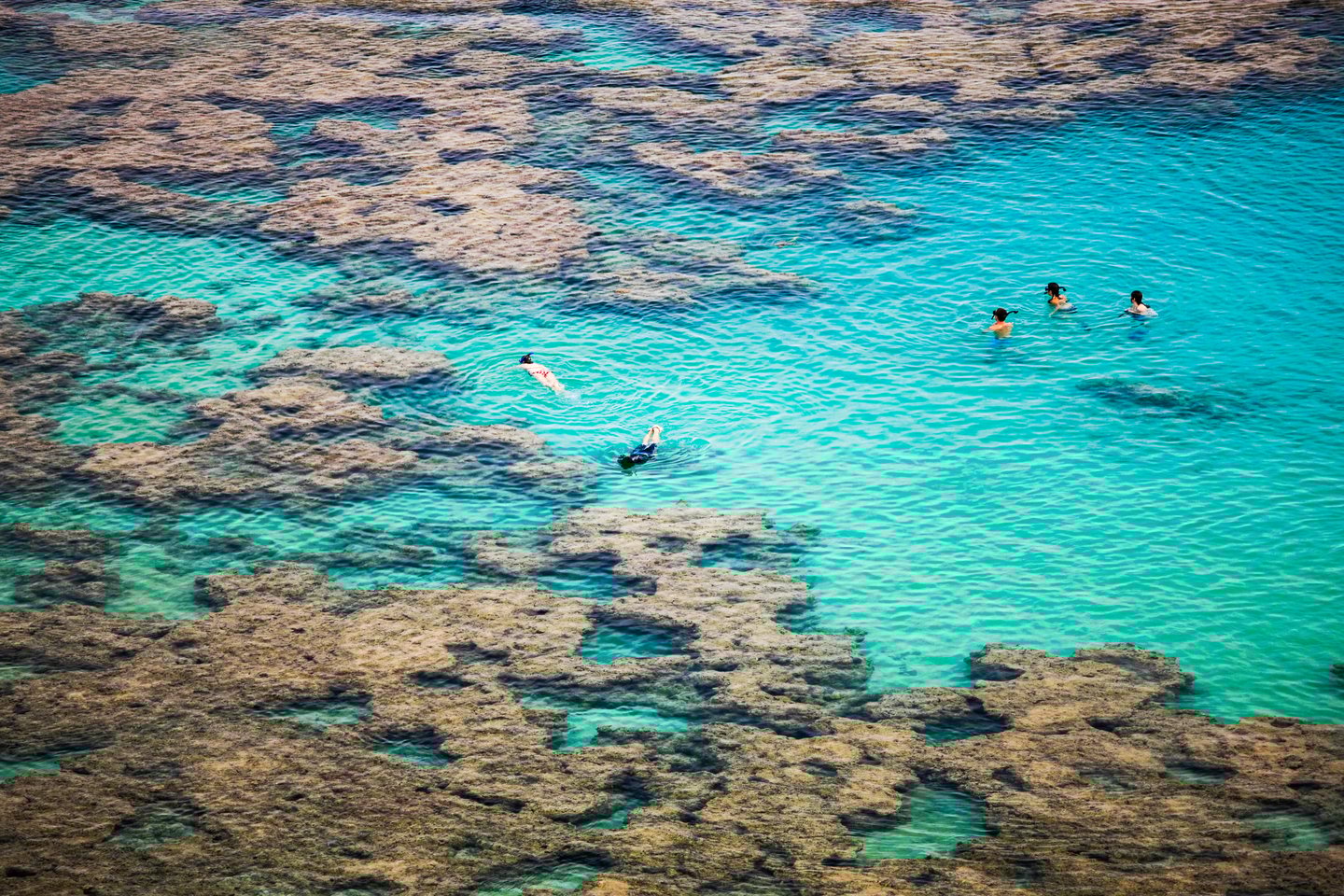 People snorkelling in Hanauma bay in Oahu, Hawaii
