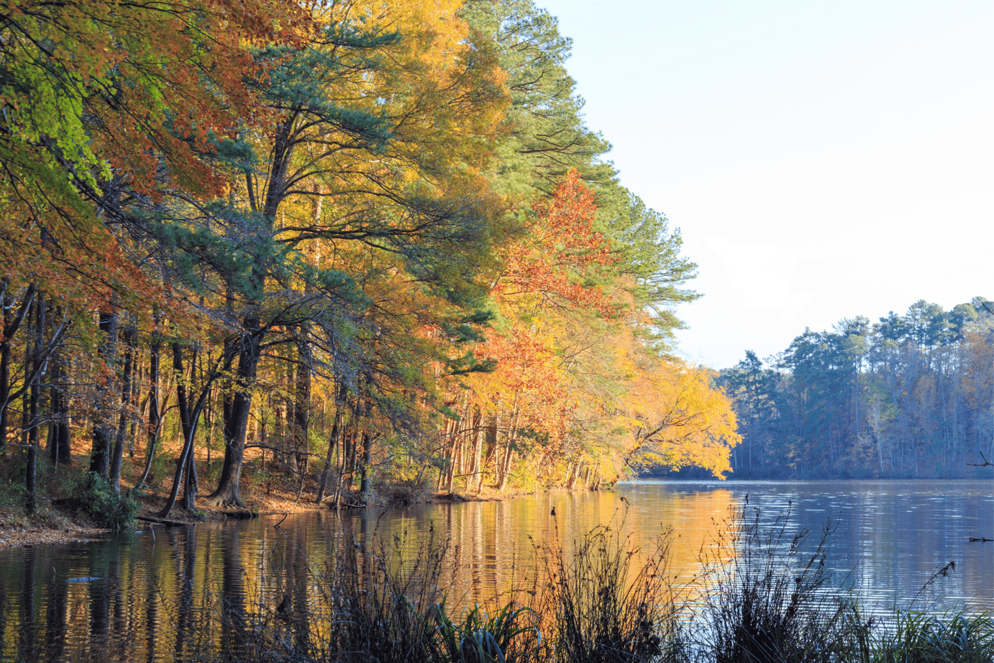 Lake Johnson in Raleigh, NC during fall season