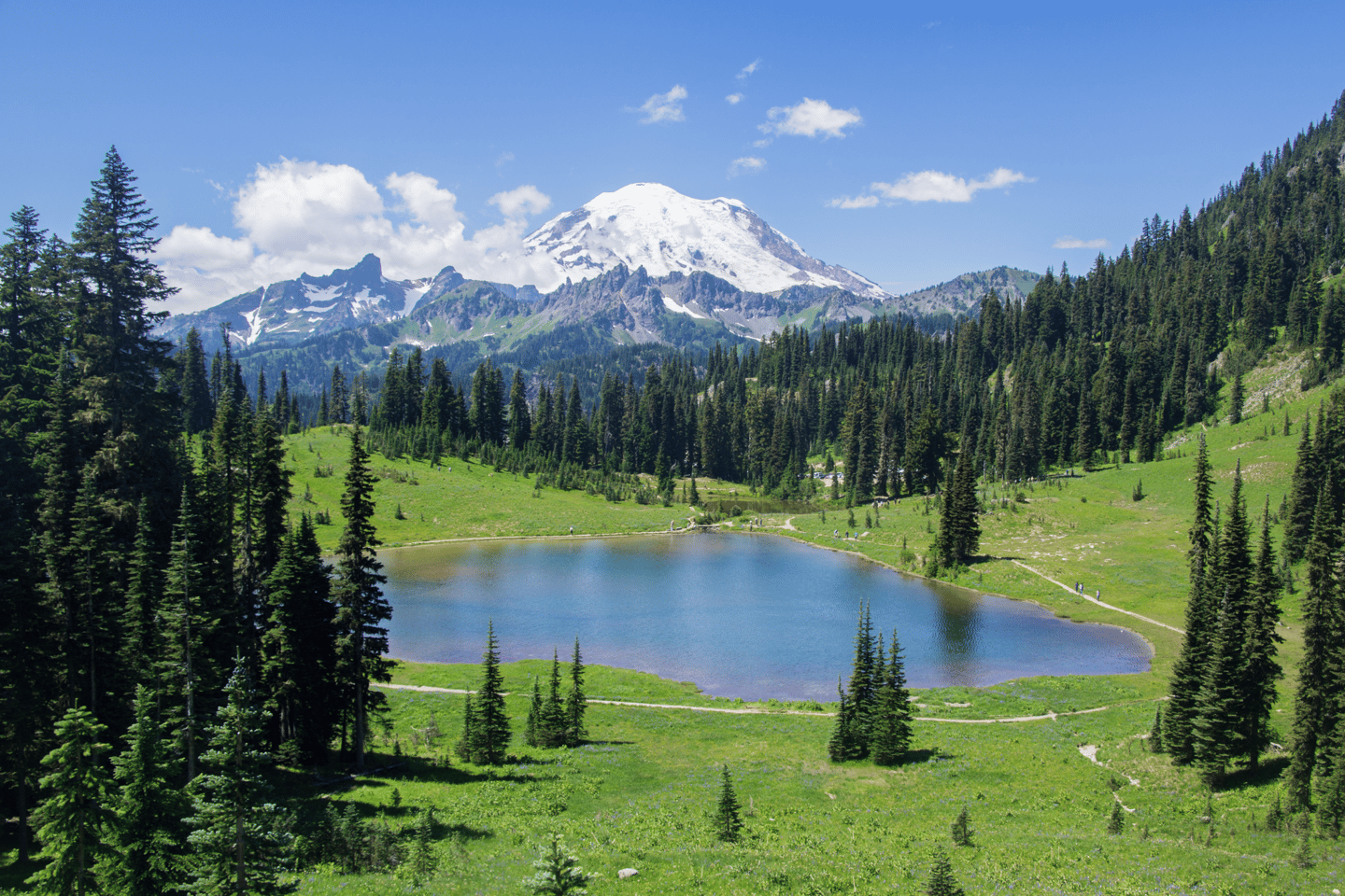 Small lake at the foothills of Mt Rainier, Washington