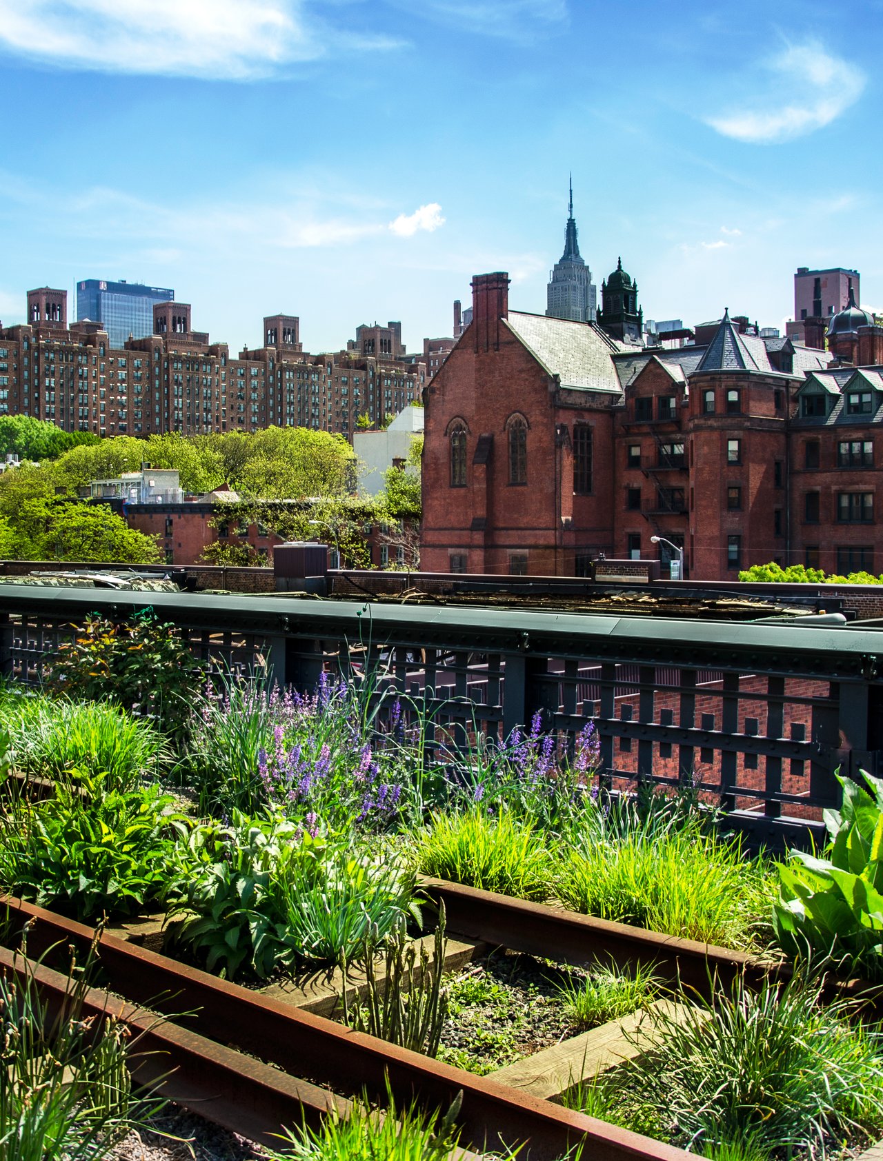 The High Line in Chelsea, New York City