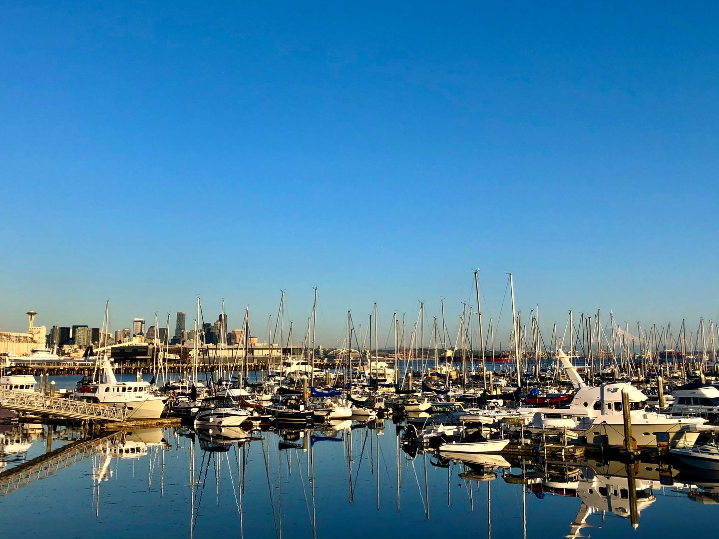 Boats moored in a harbour in Seattle