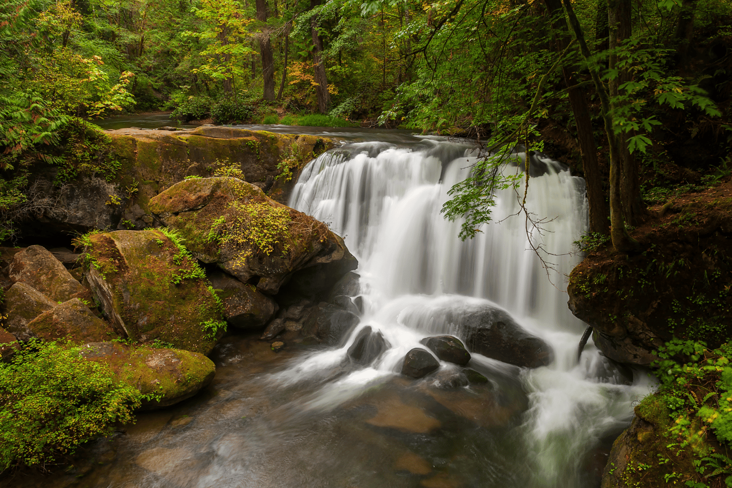 Whatcom Falls, Bellingham, Washington
