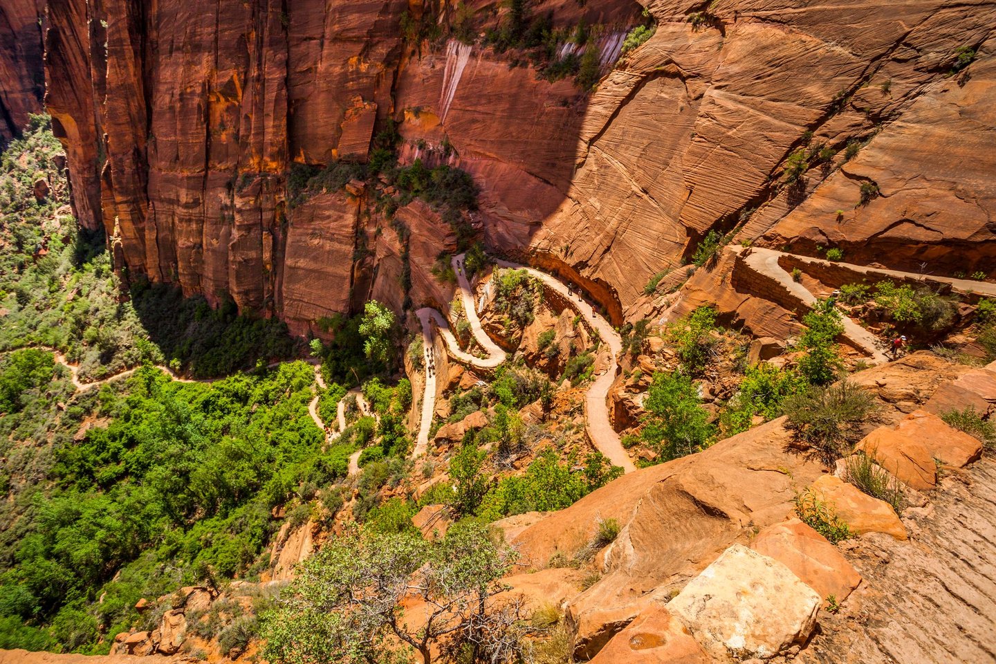 The steep track of the hike to Angels Landing in Zion National Park