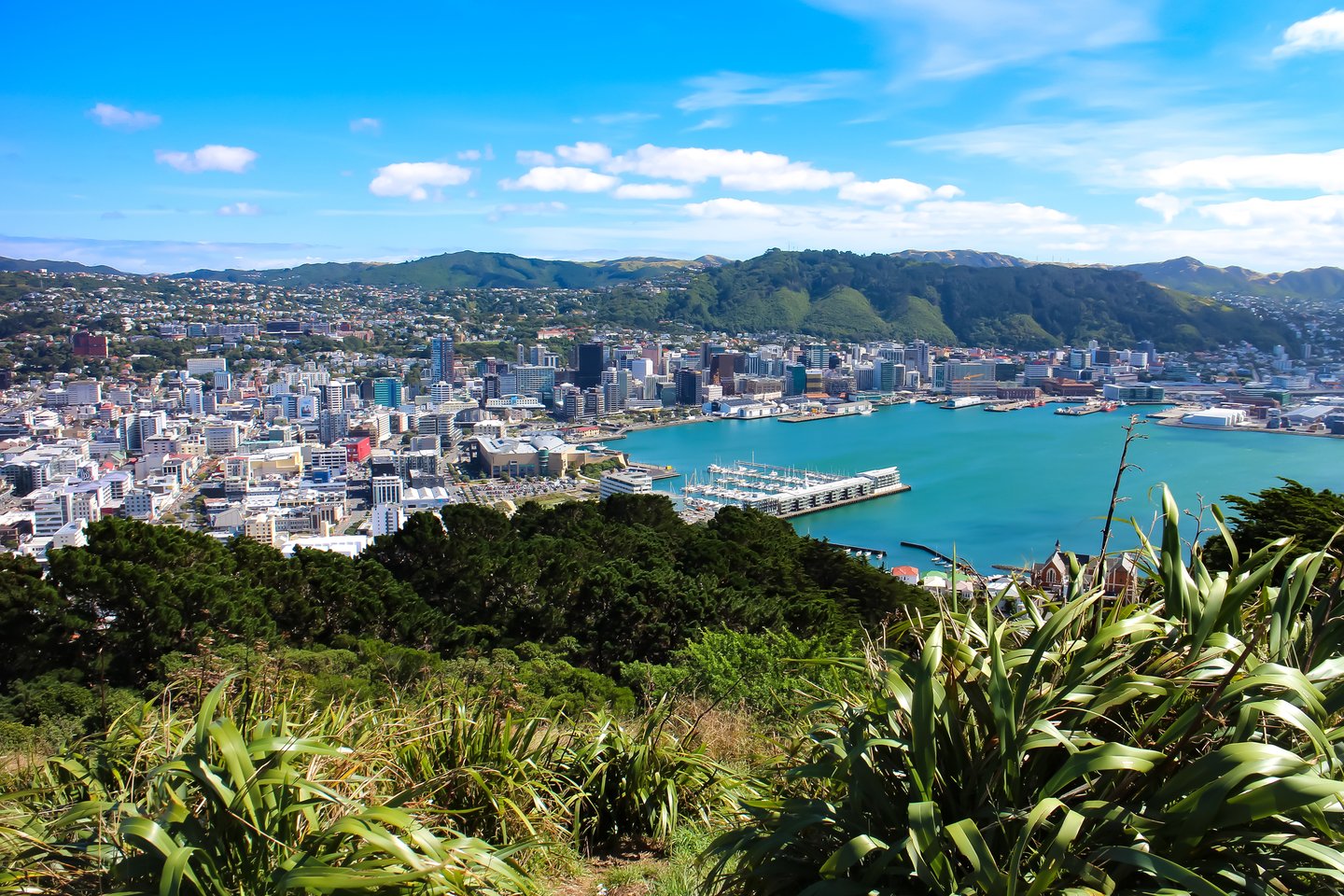 An aerial view of Wellington, New Zealand, on a sunny day