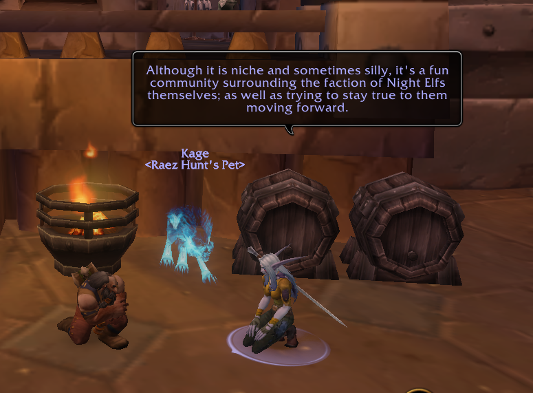 Raez Hunt explaining the unique community spirit of Elfcore