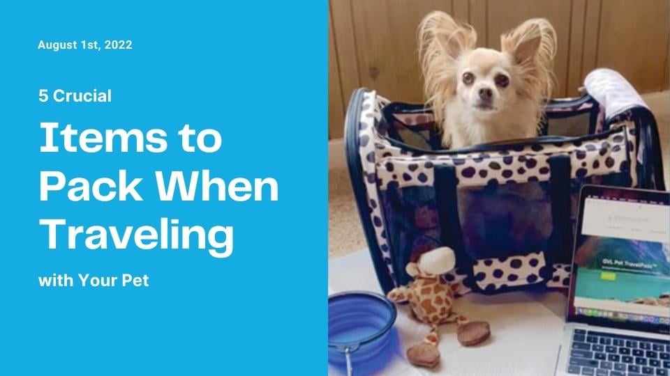 5 Crucial Items to Pack When Traveling with Your Pet