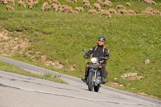 VAL_0503_20062026.jpg