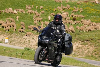 VAL_0508_20062026.jpg