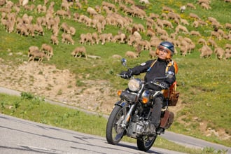 VAL_0504_20062026.jpg