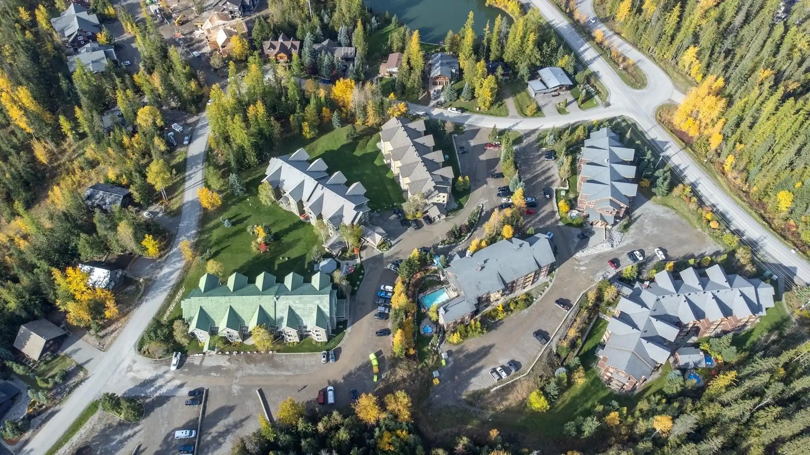Timberline Lodges