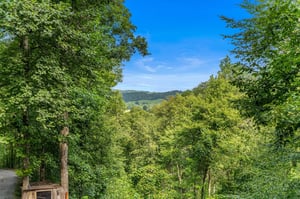 View from Moonshiners Ridge cabin