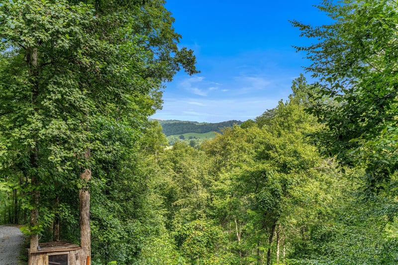 View from Moonshiners Ridge cabin