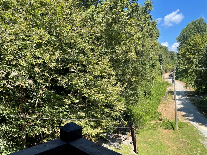 A secluded treelined road and lush greenery visible from the property, offering a peaceful backdrop to your stay.