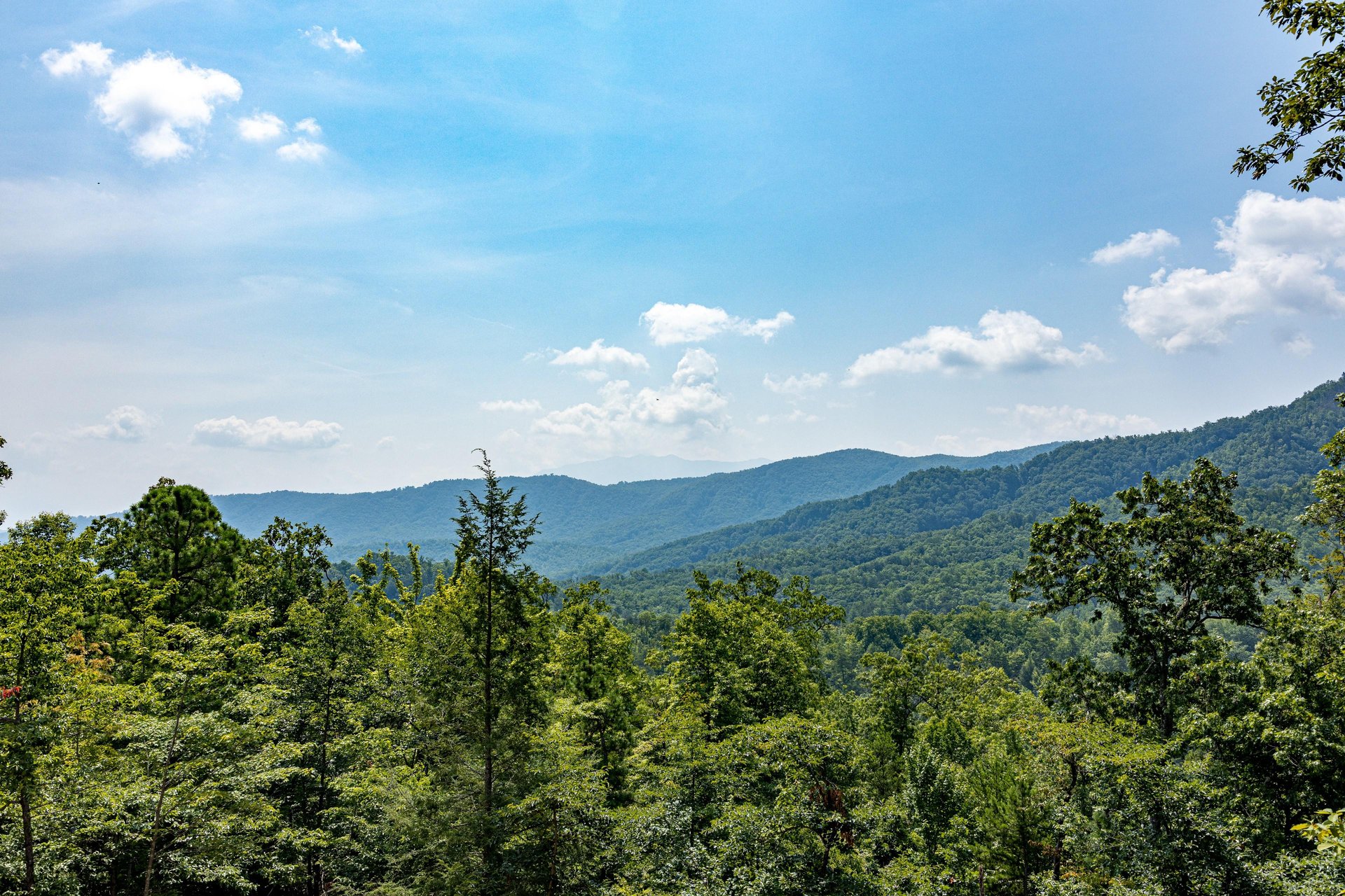 Deck Views