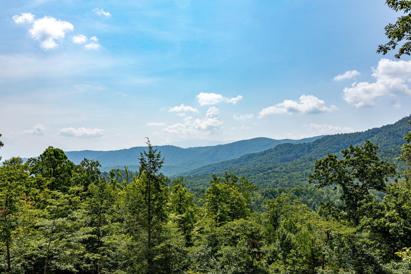 Deck Views