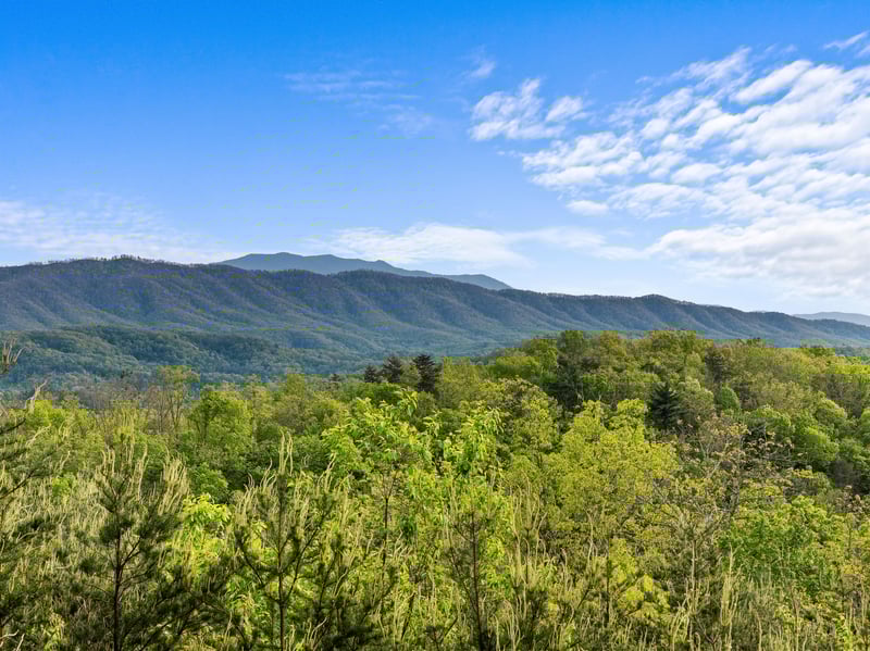 View from Mountain Bliss cabin