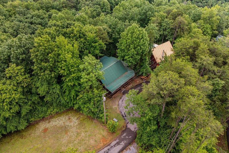 Aerial view of Moonlit Pines