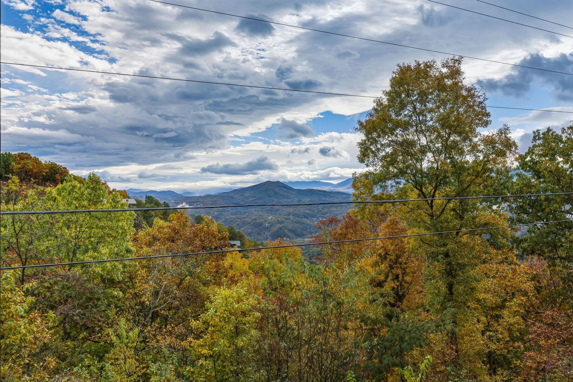 sweetbearolineextupdate14