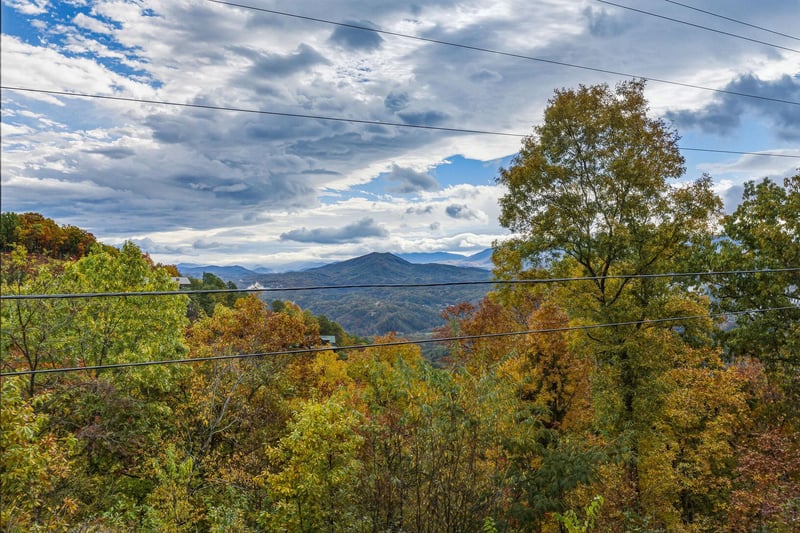 sweetbearolineextupdate14