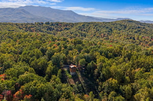 otterbeswimmingfall12