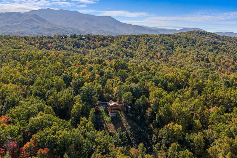 otterbeswimmingfall12